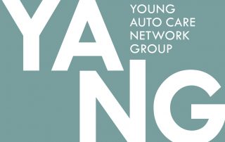 young auto care network group logo